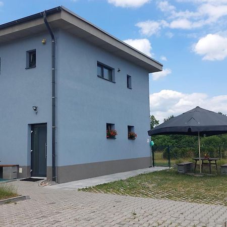 Penzion U Vody 比尔森 外观 照片